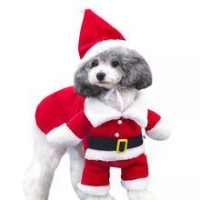 Load image into Gallery viewer, Santa Paws
